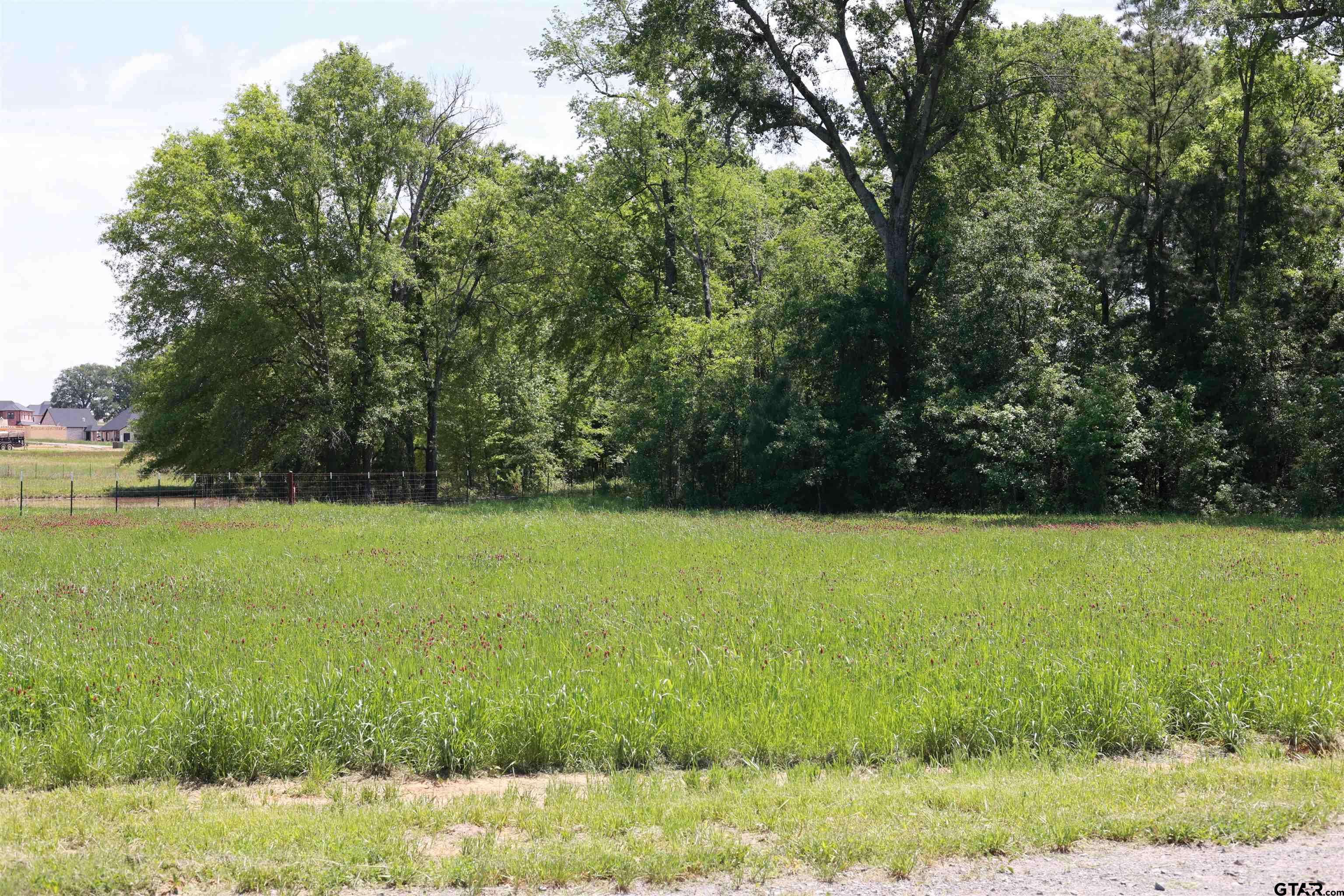 Bullard, TX 75757,TBD Gatlinburg Road