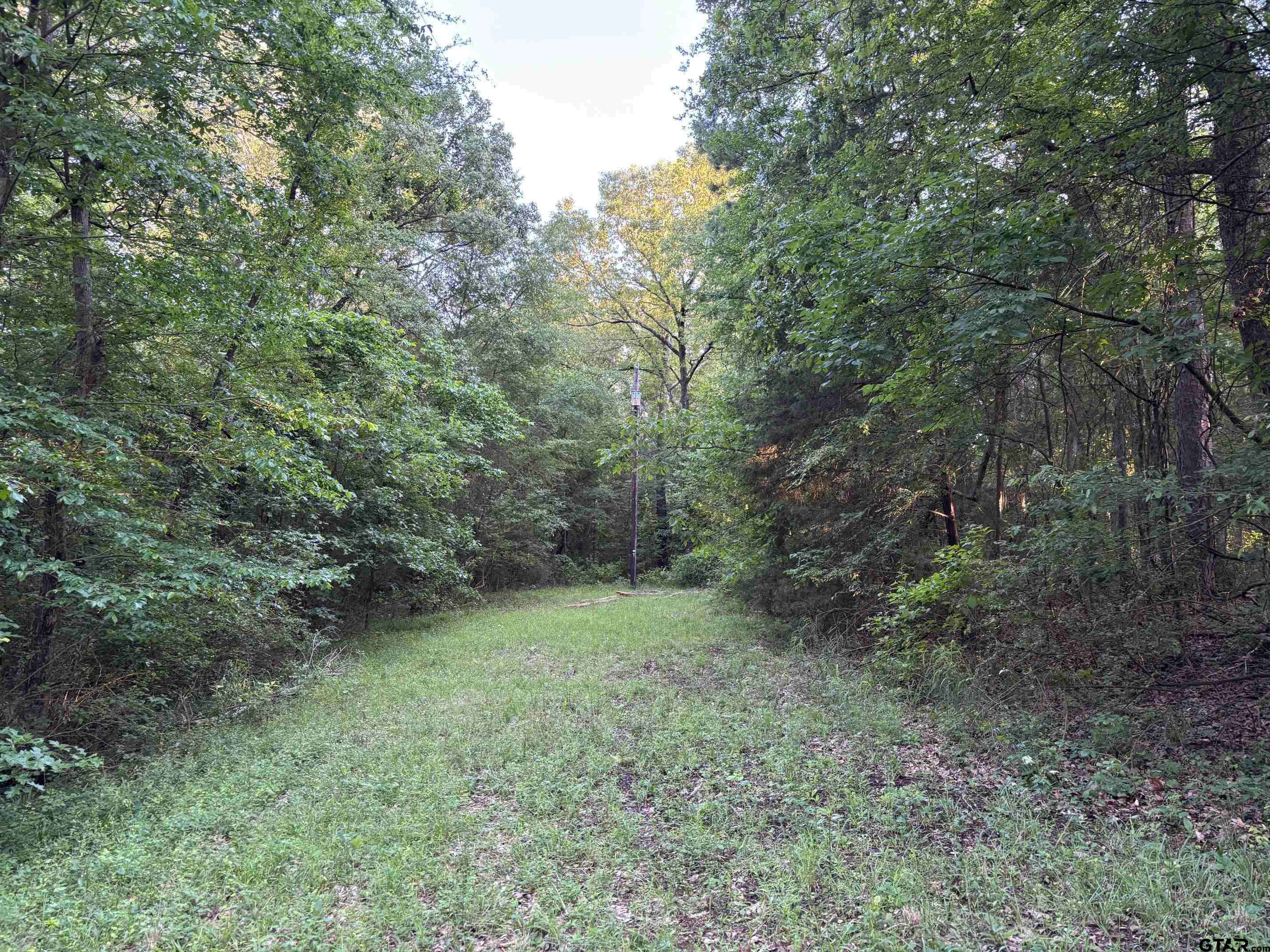 TBD Goliad, Mt Vernon, TX 75457