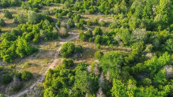 7363 Sandy Hill Ln,  Murchison,  TX 75778