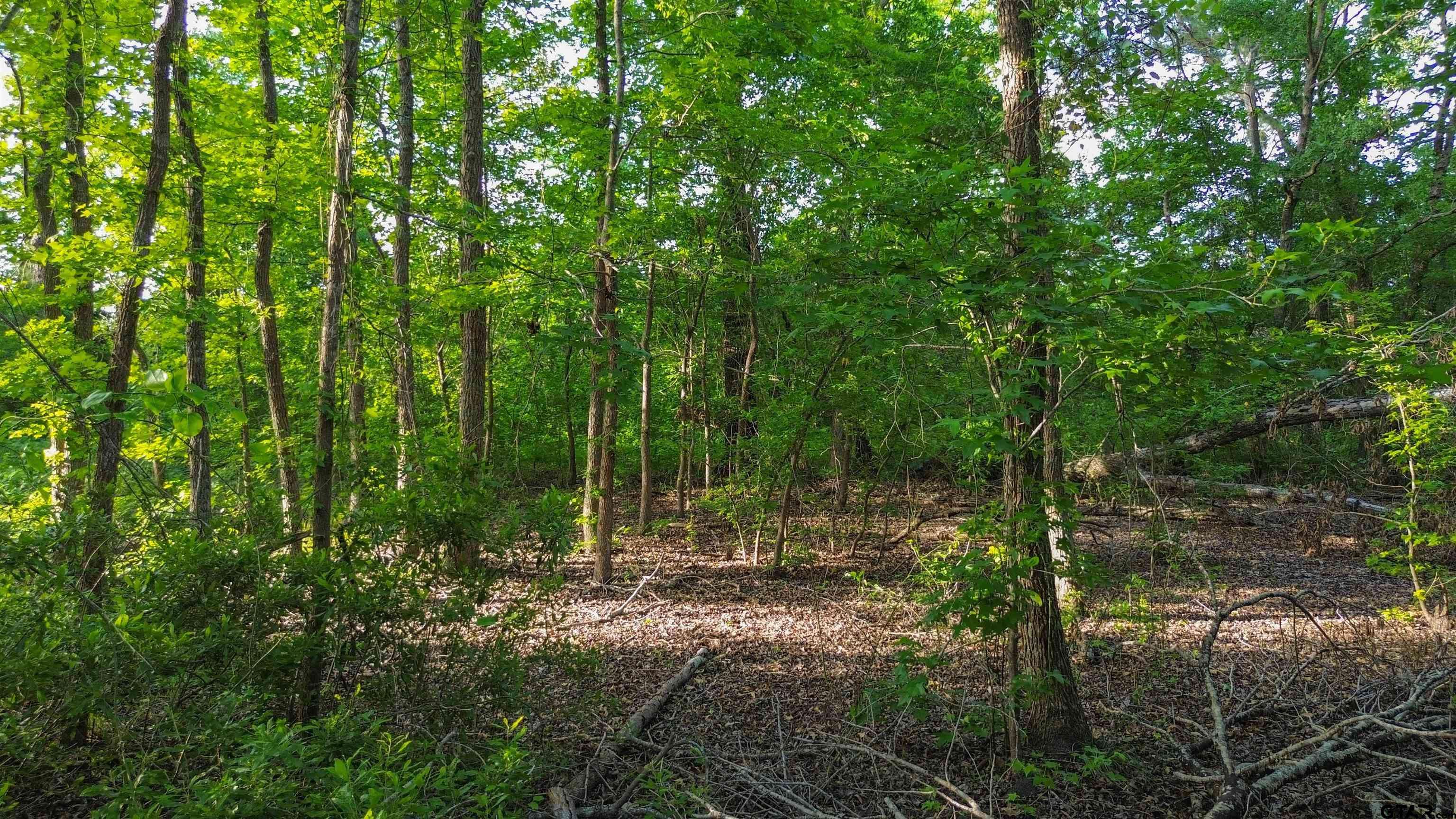 Murchison, TX 75778,7363 Sandy Hill Ln