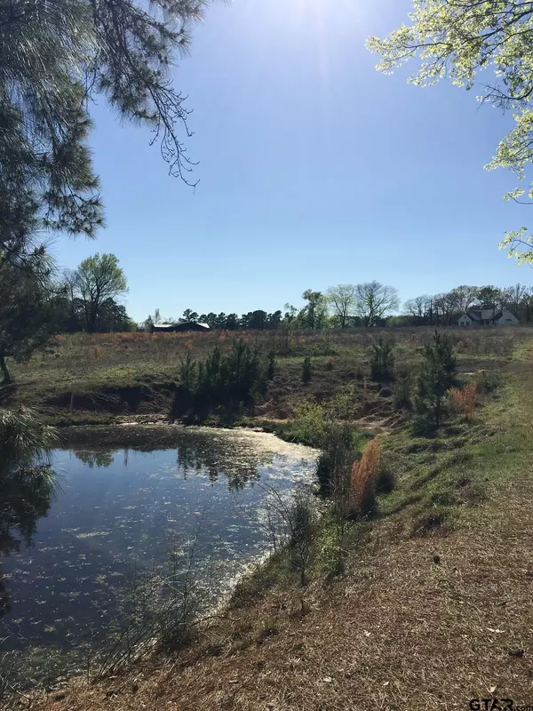 Winona, TX 75792,12721 Ridgeway Ct