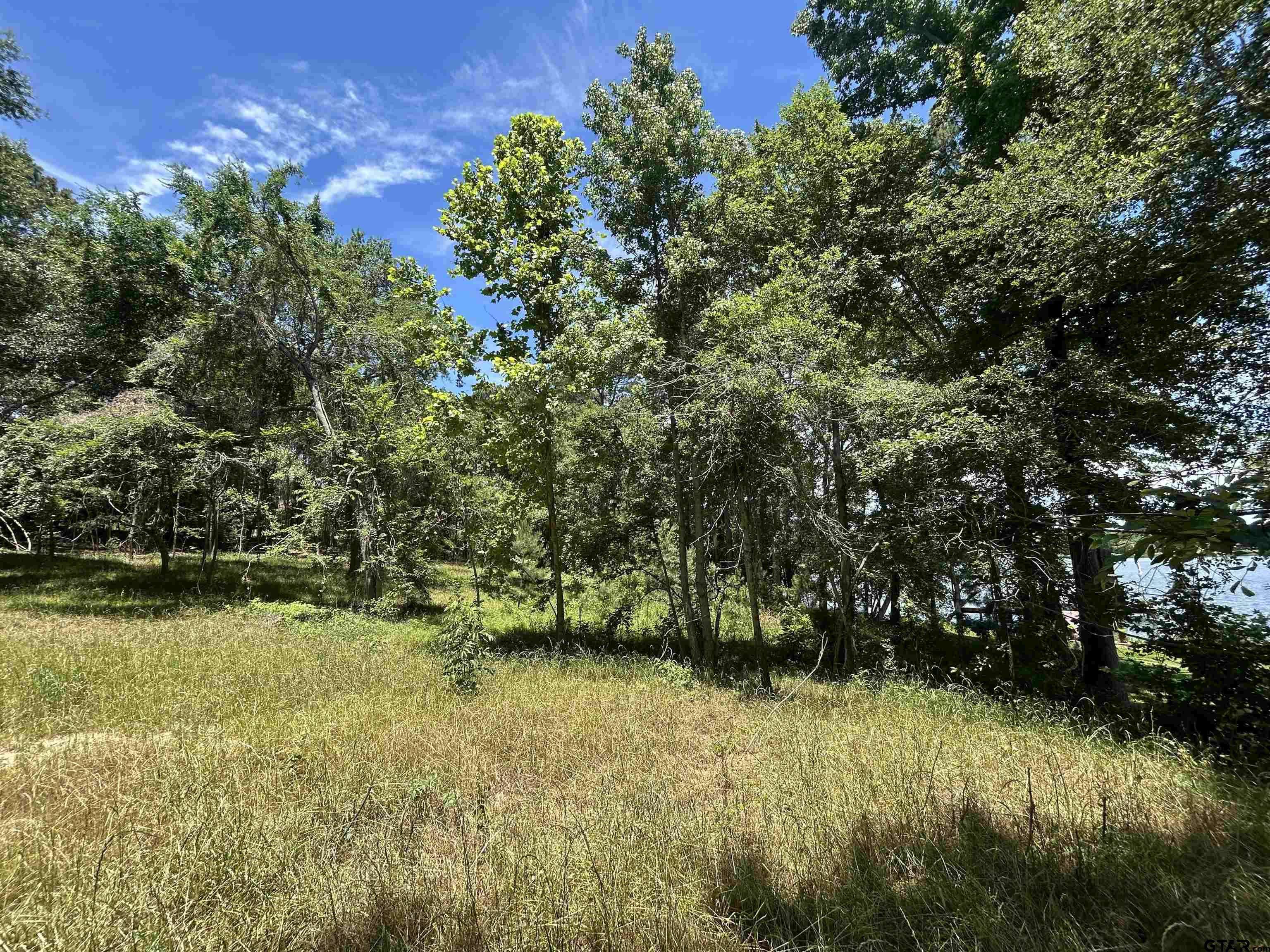 Frankston, TX 75763,LOT TR 5B STEVENSON RD