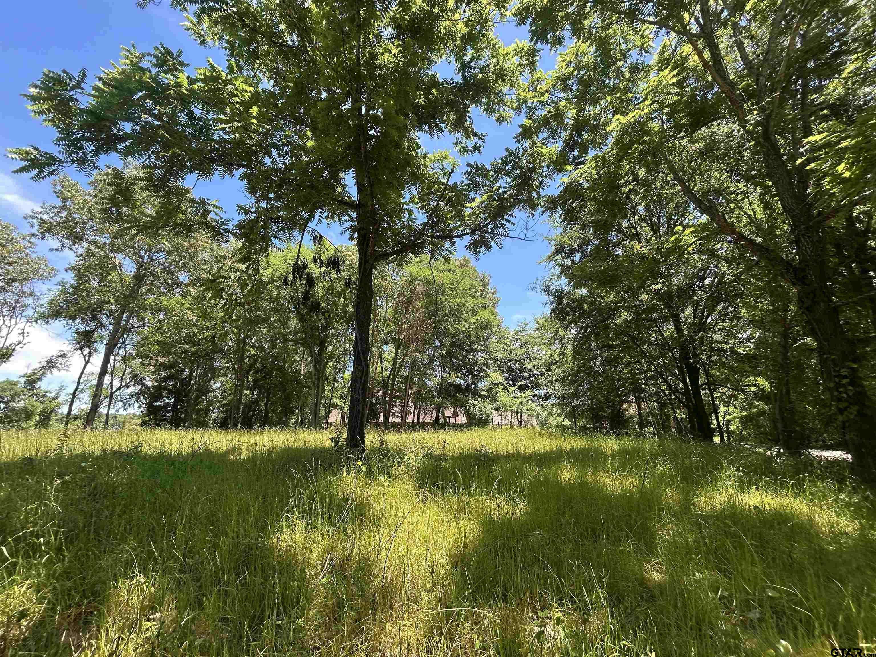 Frankston, TX 75763,LOT TR 5B STEVENSON RD