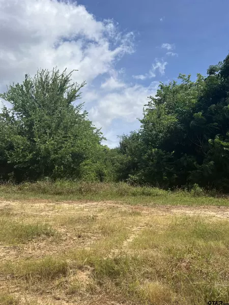 000 SH 64, Ben Wheeler, TX 75754