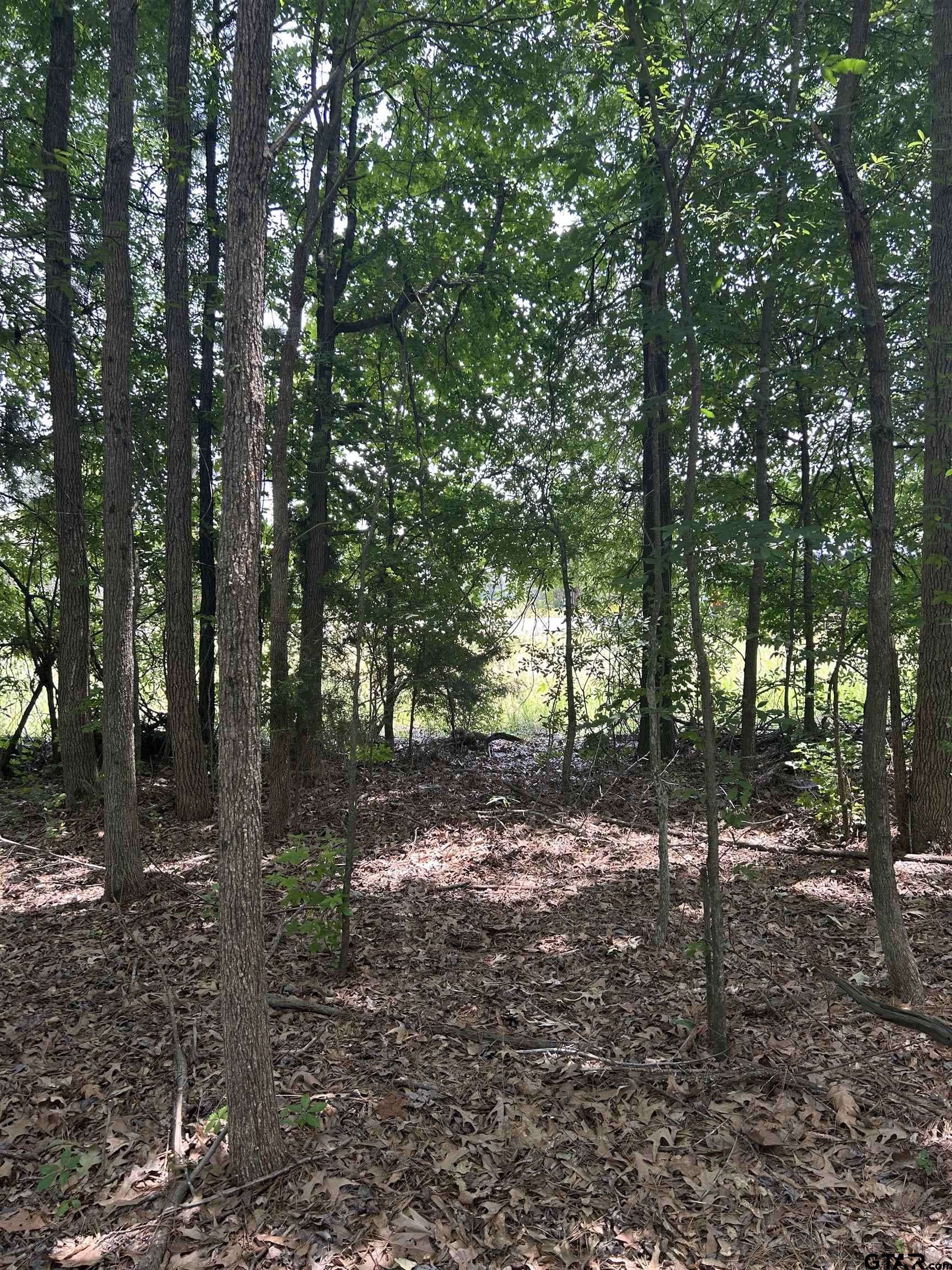 White Oak, TX 75693,TBD HWY 42
