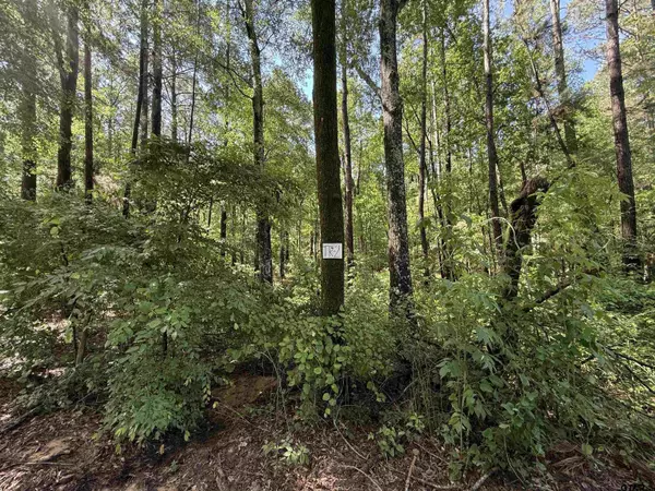 TBD CR 4194 Tr-2, Henderson, TX 75654