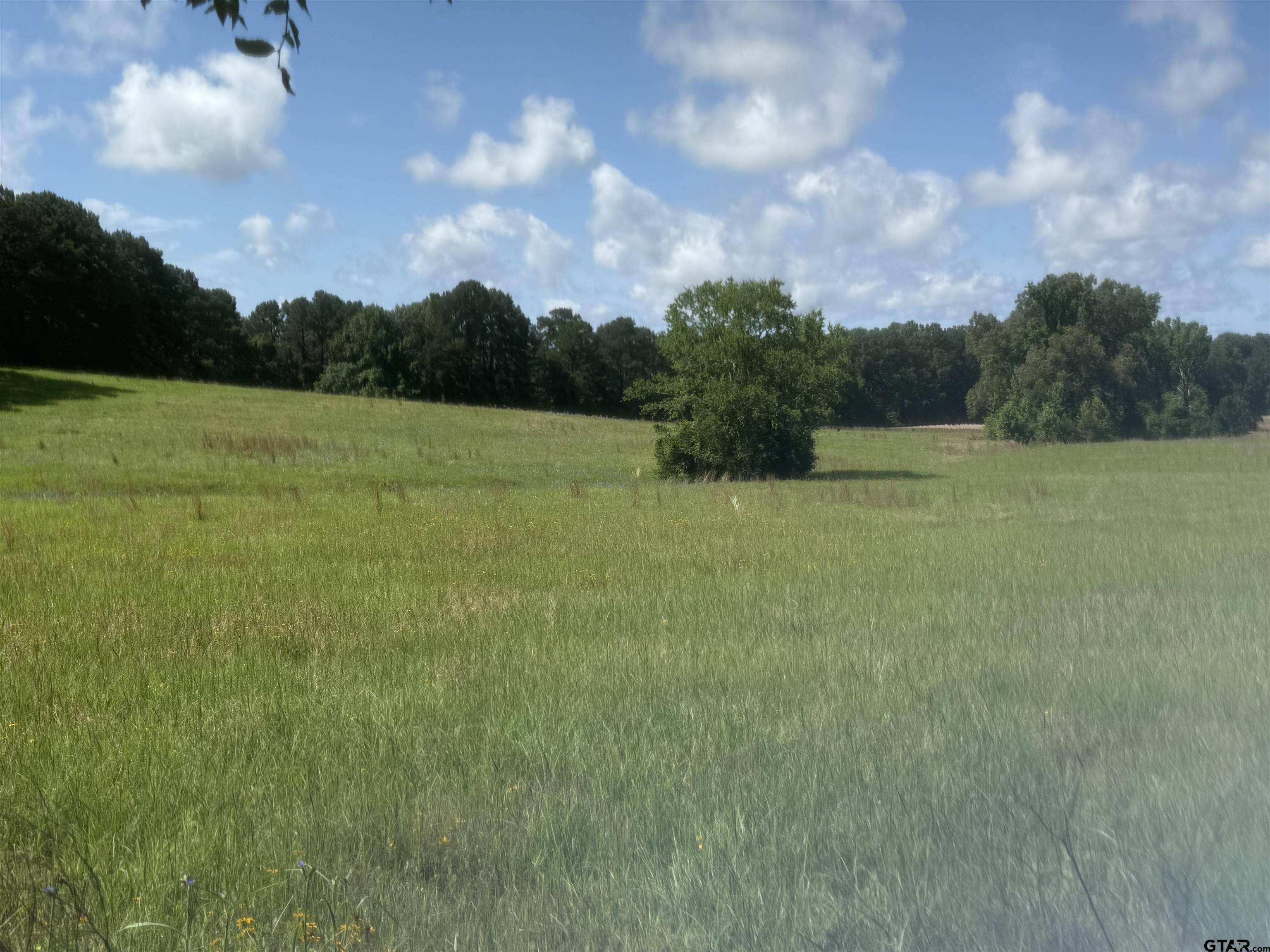 TBD CR 4194 Tr-5, Henderson, TX 75654
