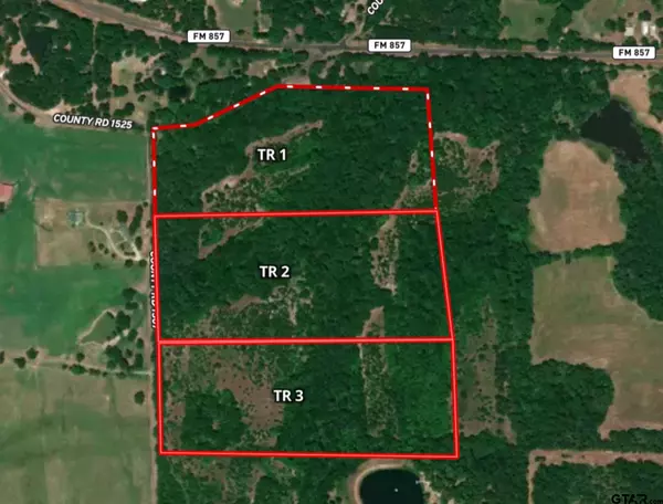 Tract 1 TBD VZCR 1507, Grand Saline, TX 75140