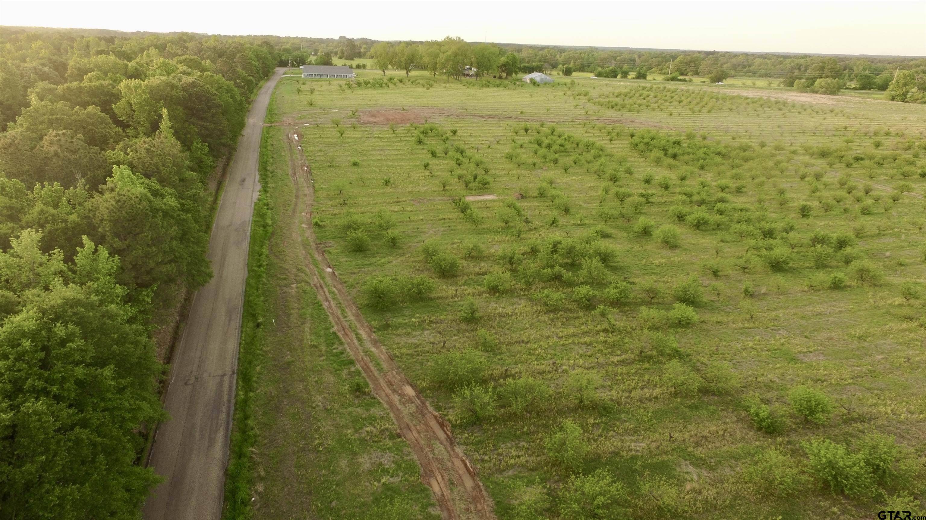 Lot 6 CR 4230, Pittsburg, TX 75686