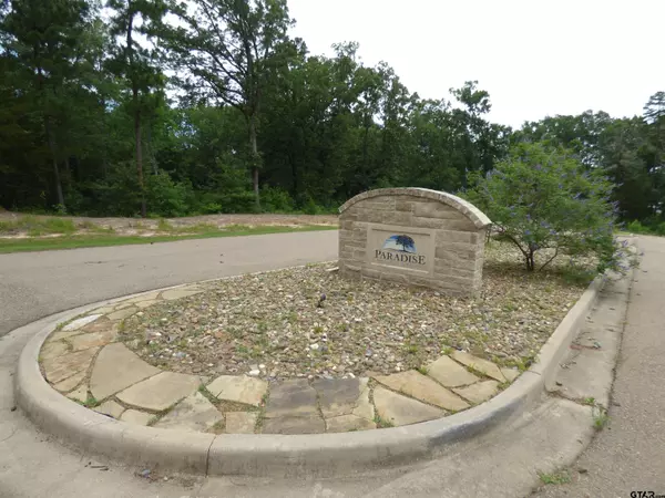 Pittsburg, TX 75686,TBD Private Road 52416, Lot 43