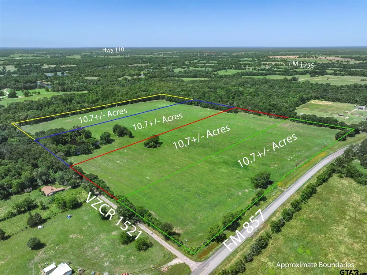 Grand Saline, TX 75140,TBD Lot 1 FM 857