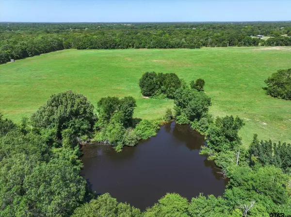 Grand Saline, TX 75140,TBD Lot 3 CR 1521