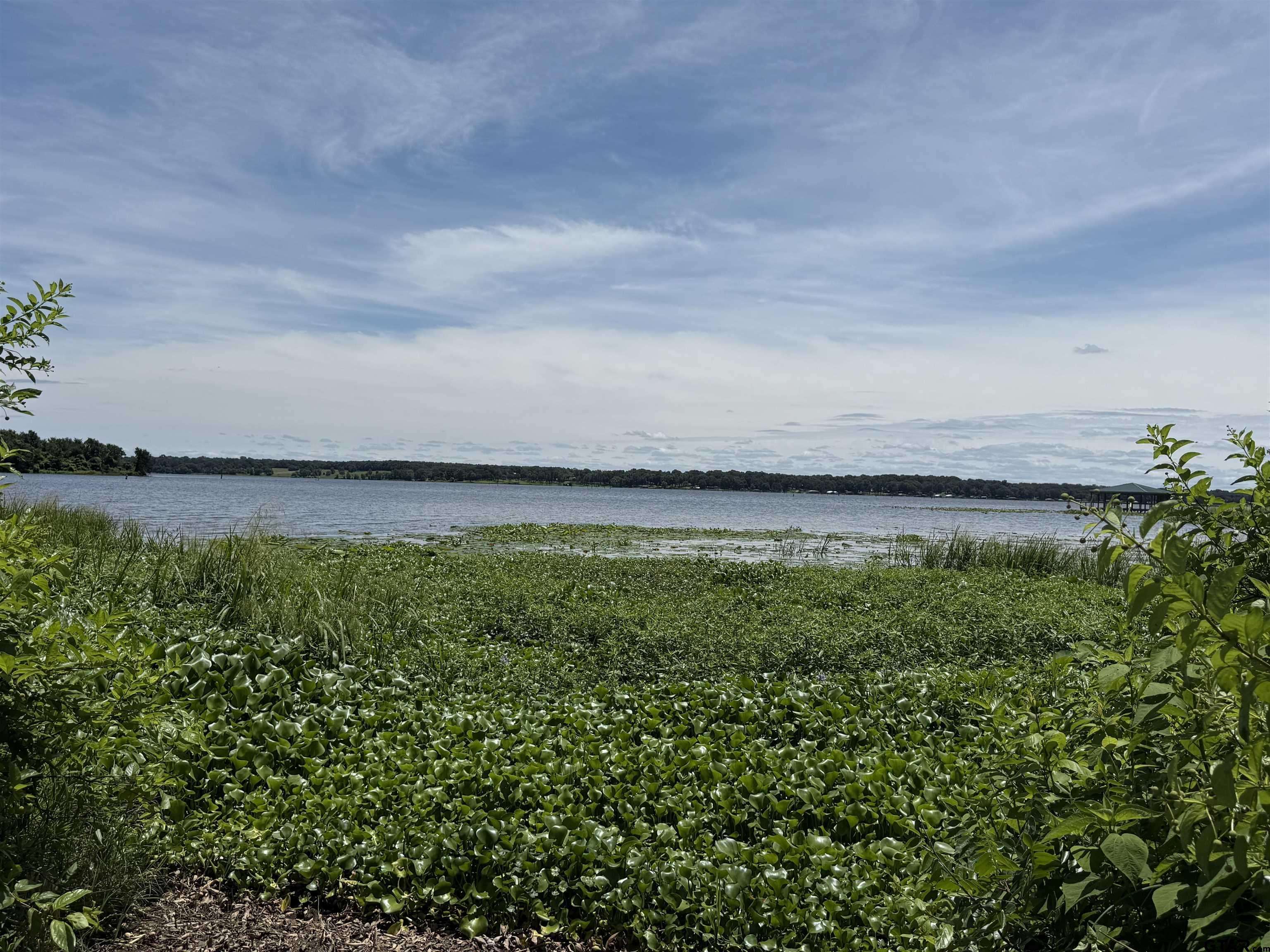 Yantis, TX 75497,TBD PR 5861 (LOT 3)