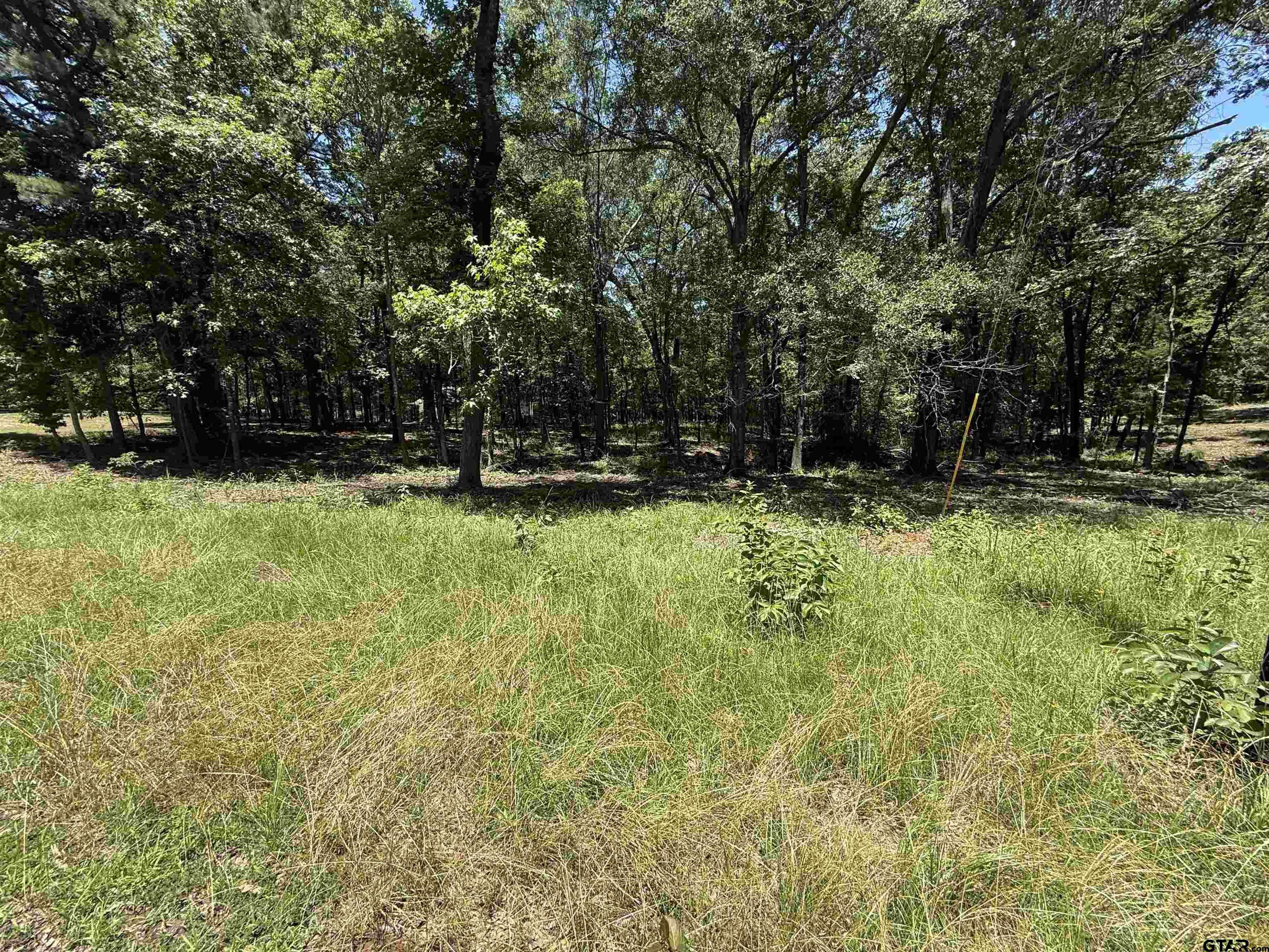 TBD PR 5861 (LOT 6), Yantis, TX 75497