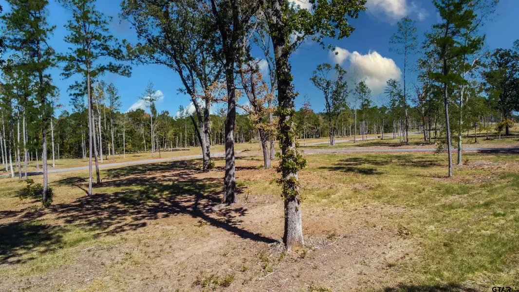 15538 Aniston Ln - (LOT 27), Flint, TX 75762
