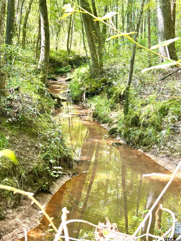 TBD George Ives Road, Marshall, TX 75672