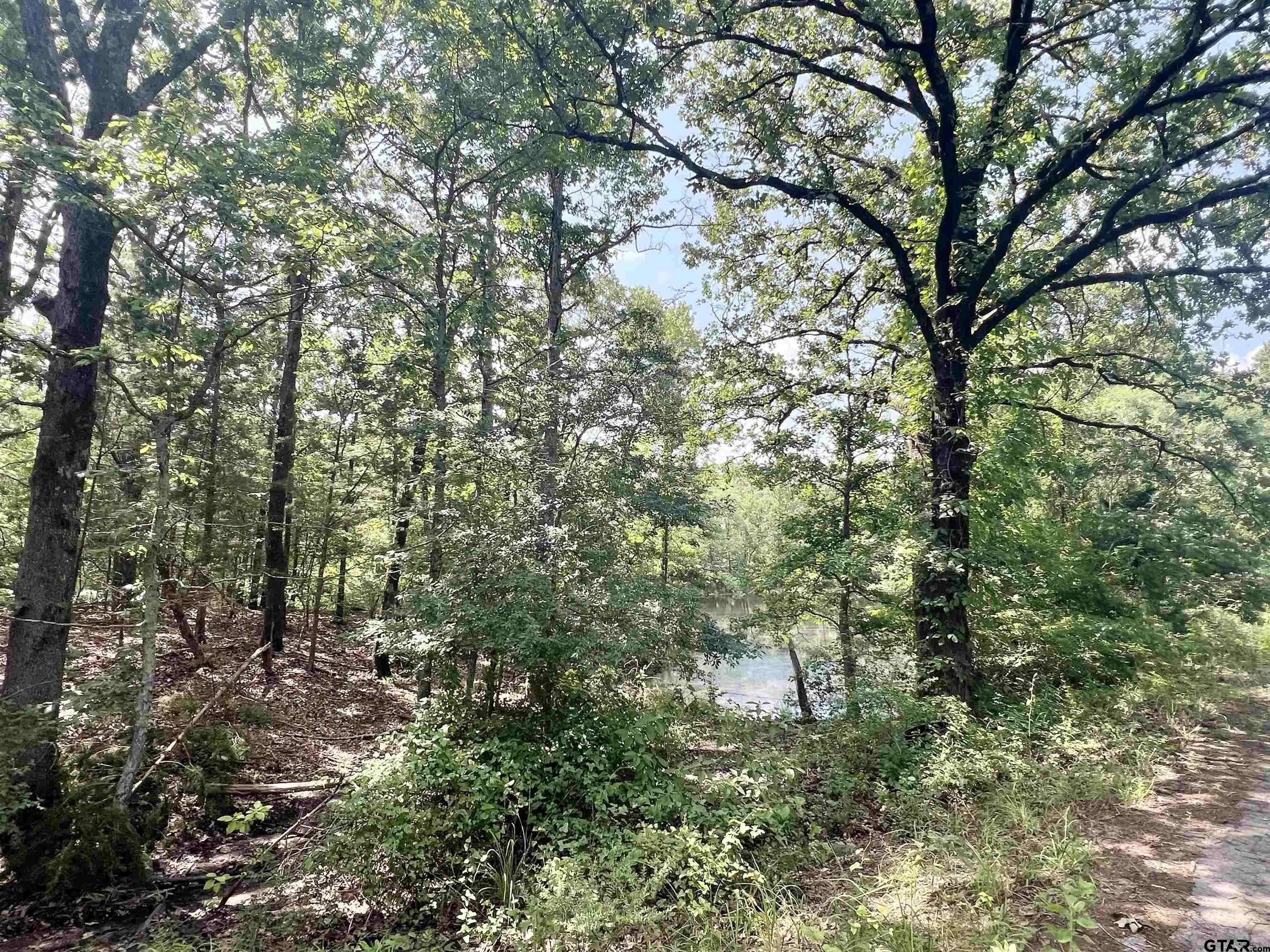 TBD CR 1664, Mt Pleasant, TX 75455