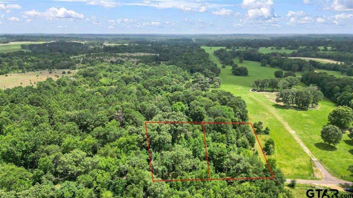 TBD CR 237 (Tract 8B), Tyler, TX 75705