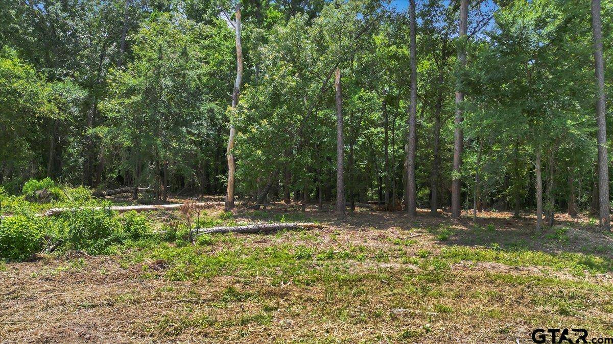 Arp, TX 75750,TBD CR 224 (Lot 3A)