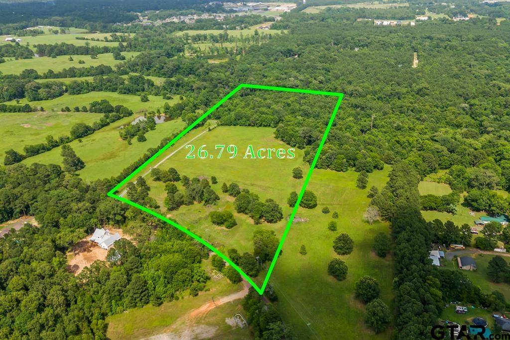Hallsville, TX 75650,TBD Tract 1 Maple Springs Road