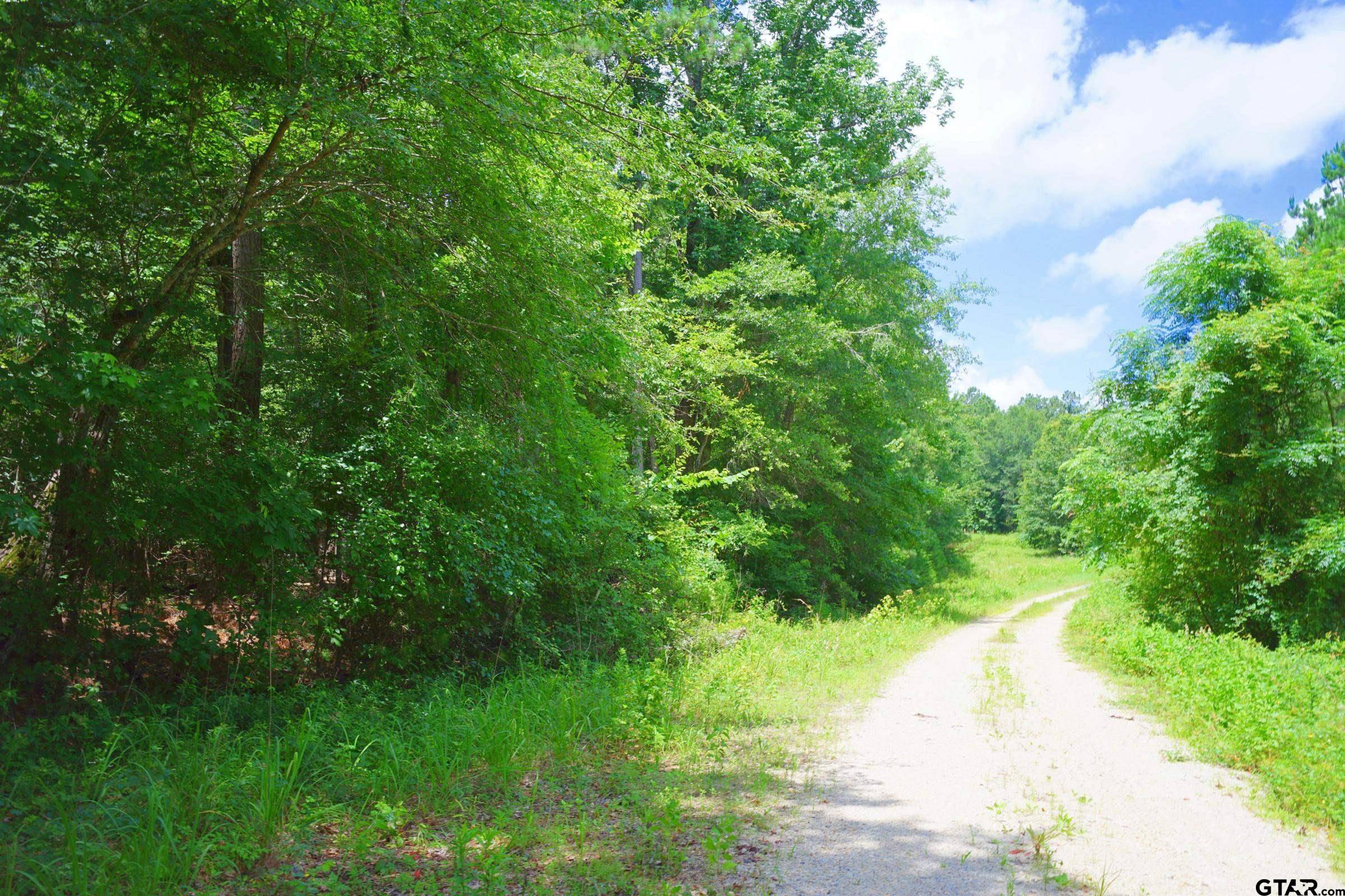 Troup, TX 75789,20447 CR 2160