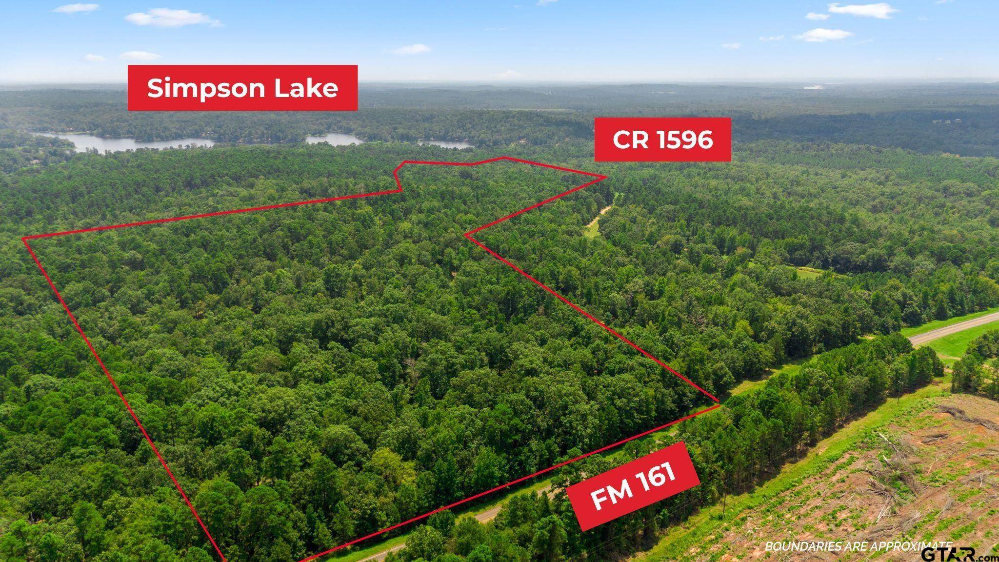 TBD County Road 1596 (61.63 Acres), Avinger, TX 75630
