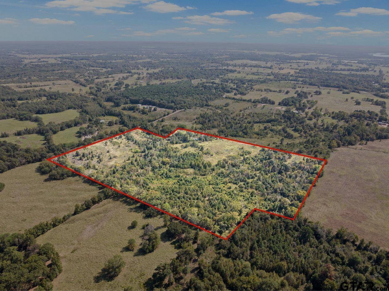 TRACT 1 County Road 4325, Omaha, TX 75571