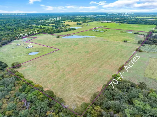 Grand Saline, TX 75140,TBD (71 Acres) VZ County Road 1117