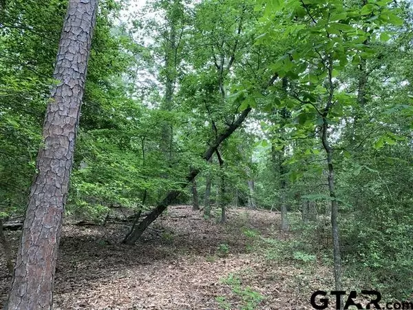 Holly Lake Ranch, TX 75765,300301 Misty Glen Lane