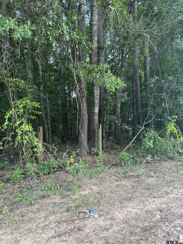 154 PR 4035, Marshall, TX 75670