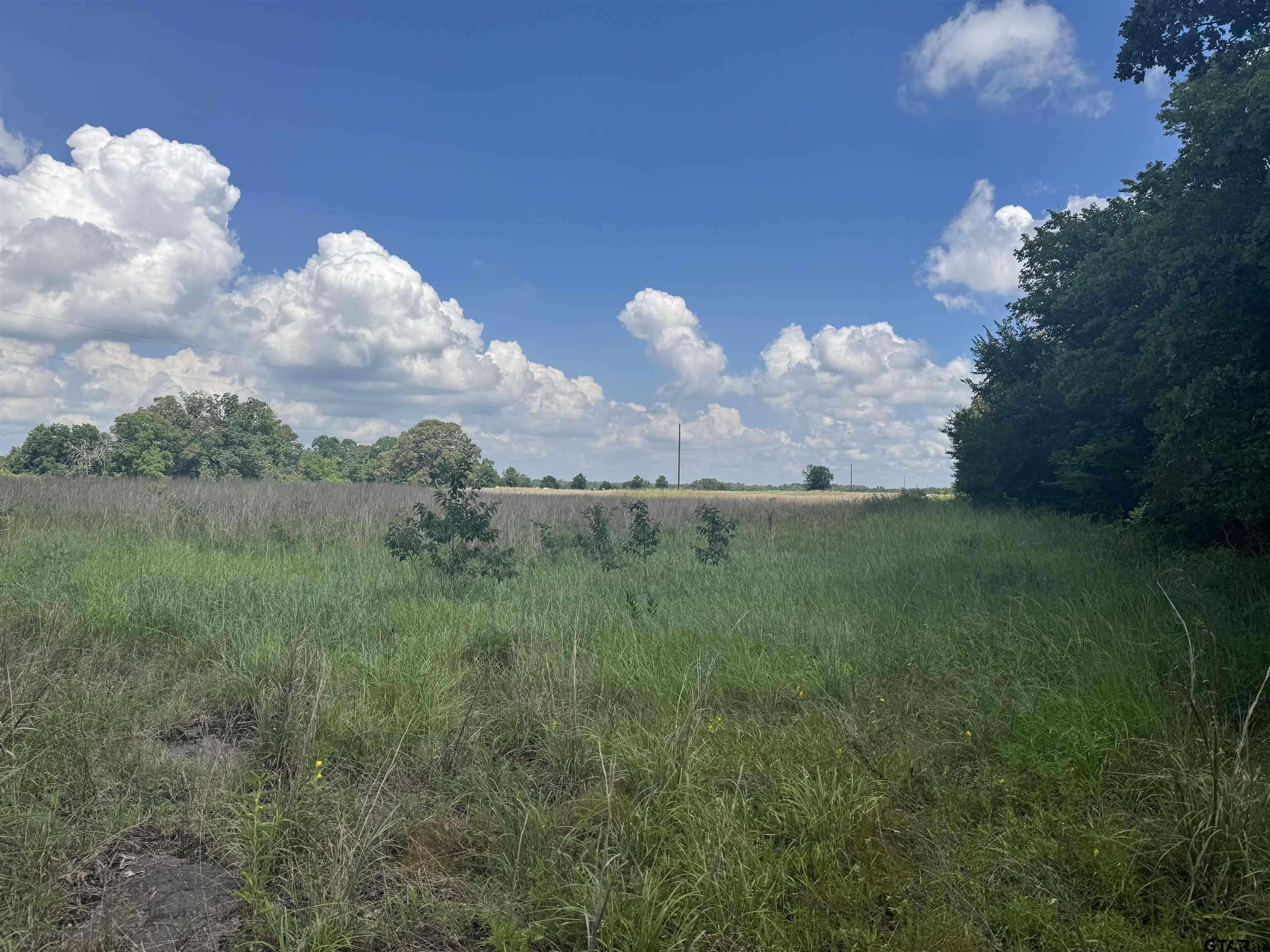 TBD CR 3925, Mt Pleasant, TX 75455
