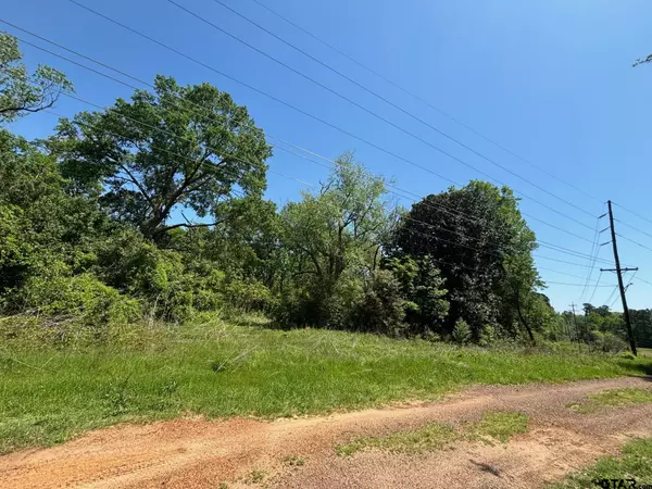 313 ROBERTS ST, Gilmer, TX 75644