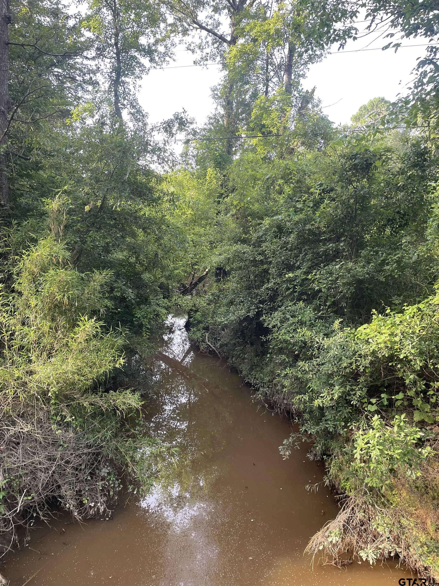 TBD FM 16, Winona, TX 75792