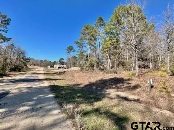 Hawkins, TX 75765,LOT 10 CR 3545
