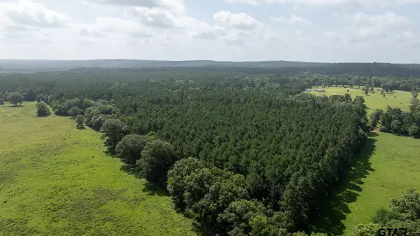 Mt Enterprise, TX 75681,000 County Road 3218