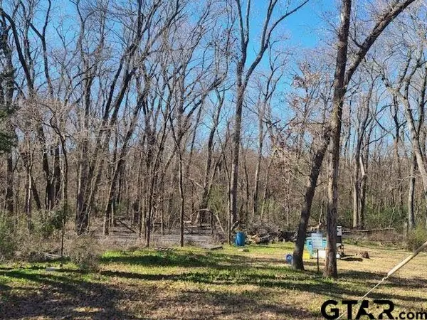 686 Eastshore Drive, Wills Point, TX 75169
