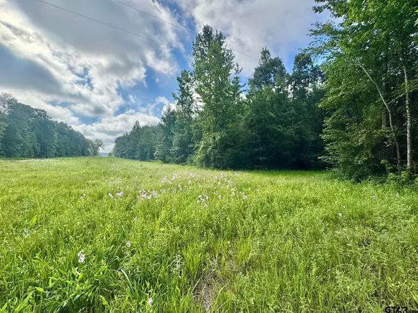 TBD CR 369, Winona, TX 75792