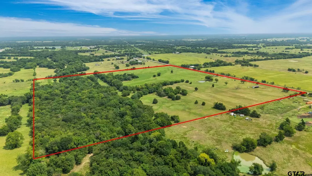 47 Acres Farm Road 275, Cumby, TX 75433
