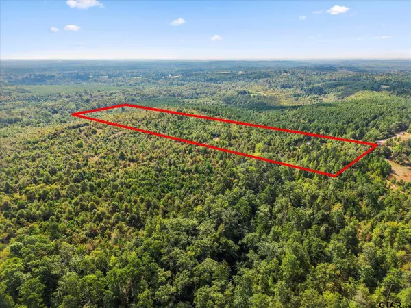 Avinger, TX 75630,1162 County Road 1647