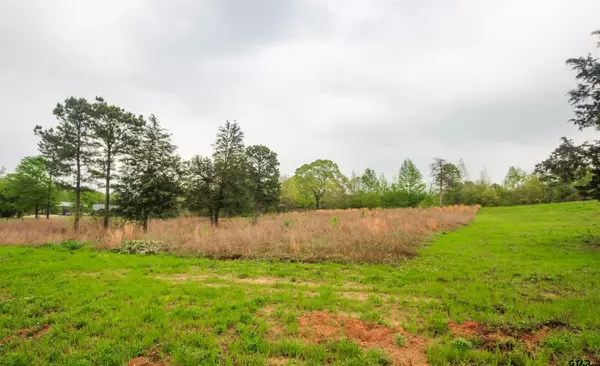 Winona, TX 75792,TBD (Lot 36) Ridgeline Loop