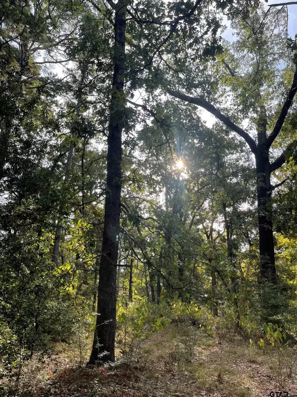 246 Spring Lake Knoll, Holly Lake Ranch, TX 75765