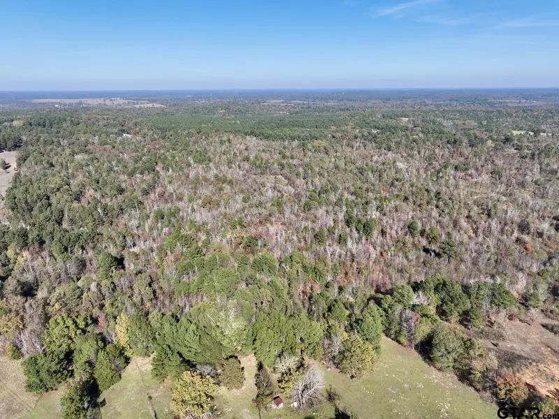 21695 County Rd 240, Tyler, TX 75705