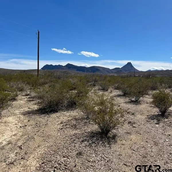 31466 Ringtail, Terlingua, TX 79852