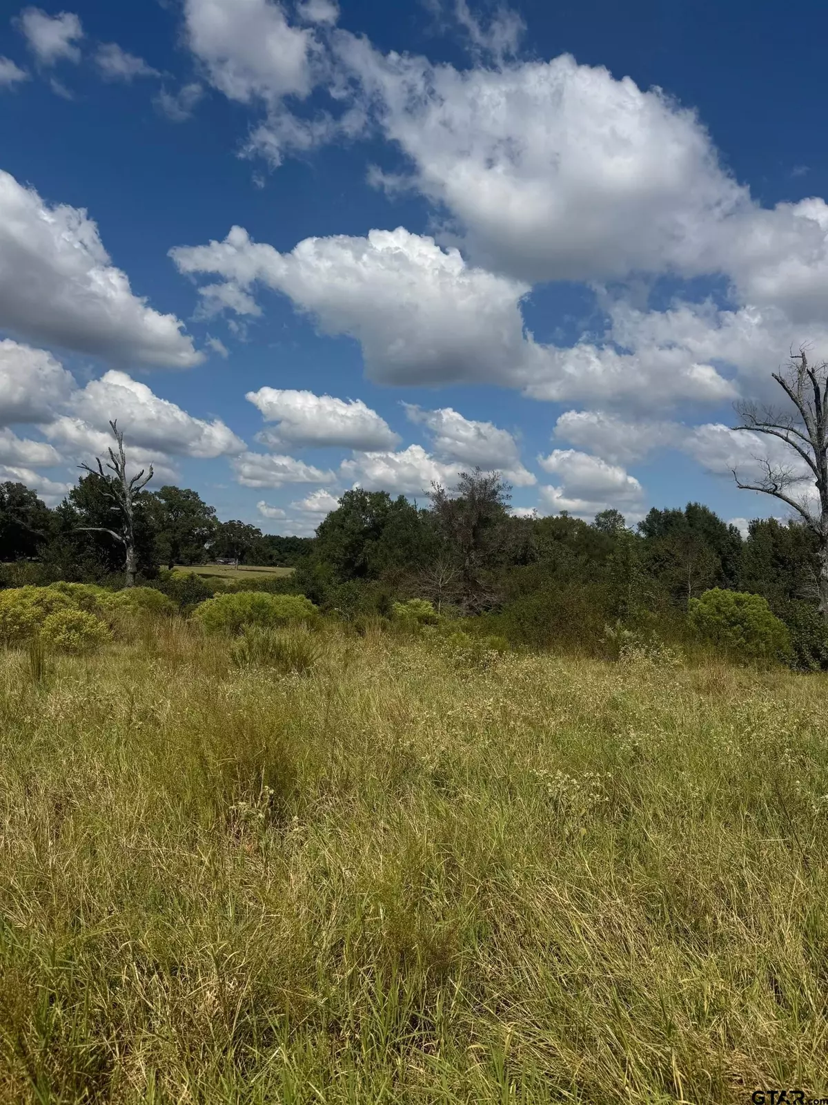 Athens, TX 75752,5517 PR 5107