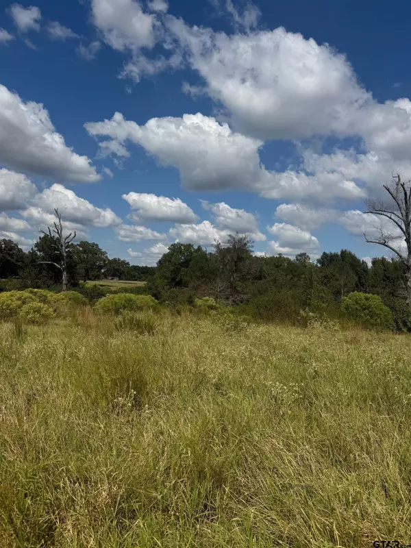 5517 PR 5107, Athens, TX 75752