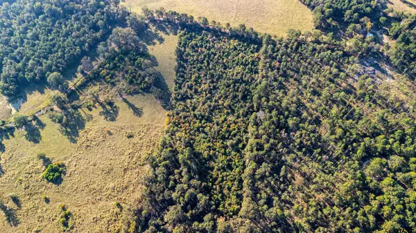 Garrison, TX 75946,123 County Road 3253