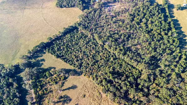 Garrison, TX 75946,123 County Road 3253