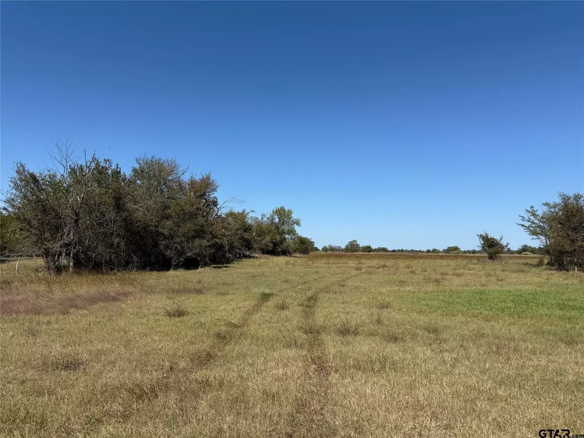 Sulphur Bluff, TX 75481,108 Acres County Road 3544