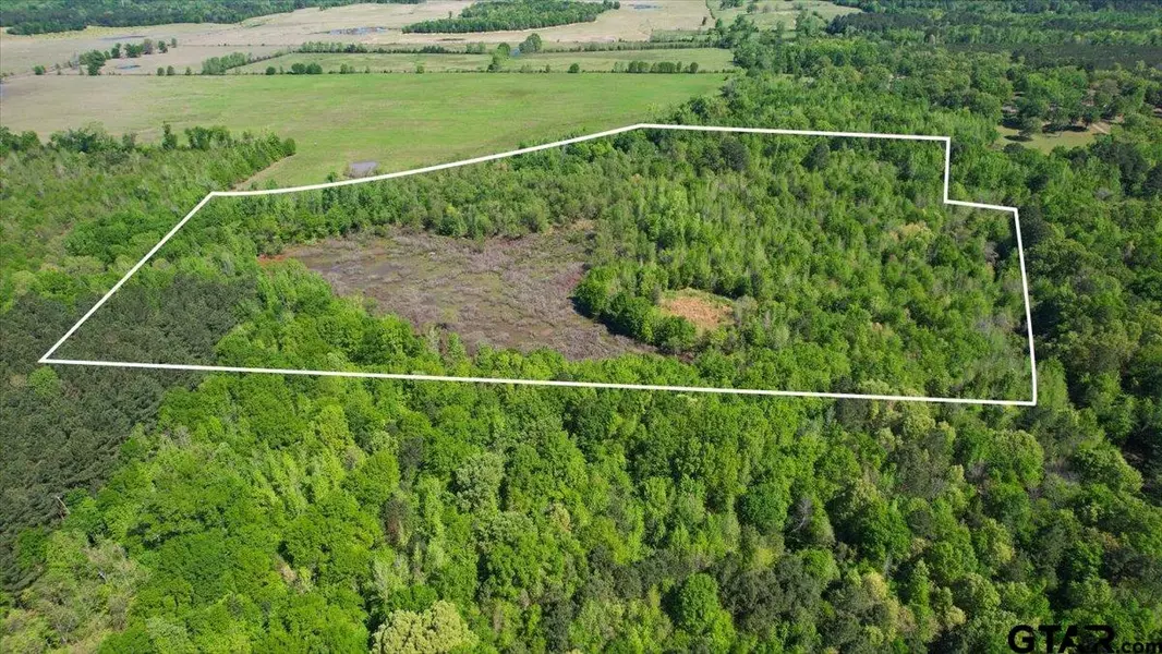 TBD CR 1143, Daingerfield, TX 75638