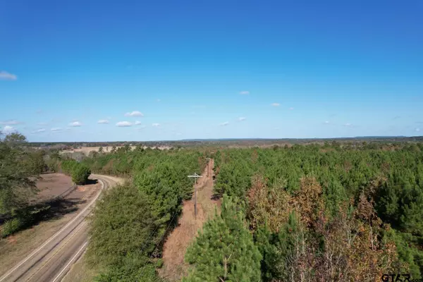 Gilmer, TX 75645,TBD FM 1650